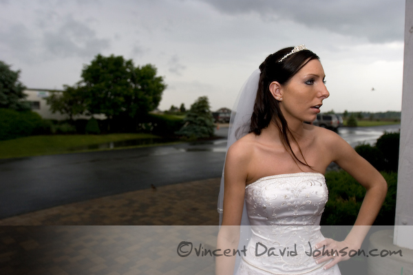 Mokena wedding photography