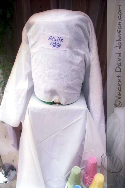 Vincent D. Johnson Photography